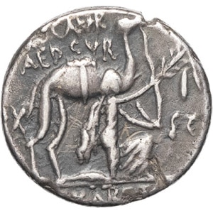 lot 174