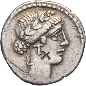 lot 181