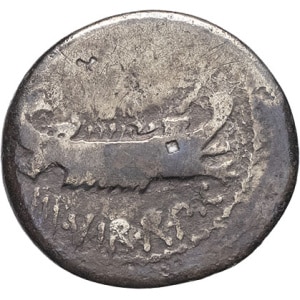 lot 195