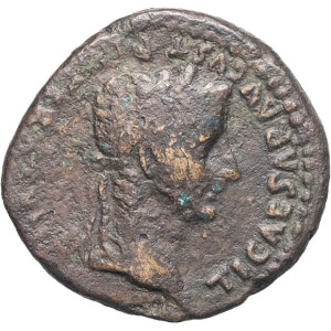 lot 204