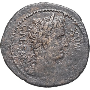lot 205