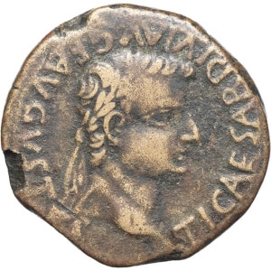 lot 210