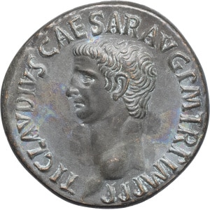 lot 213
