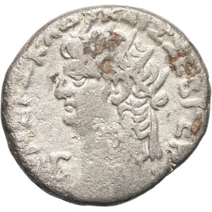 lot 221