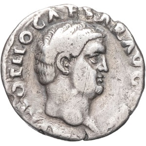 lot 224
