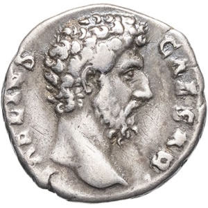 lot 255