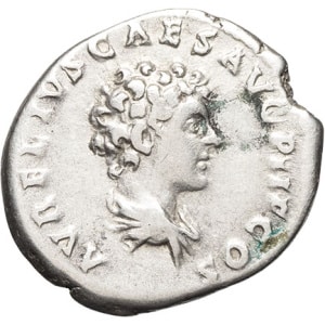 lot 256