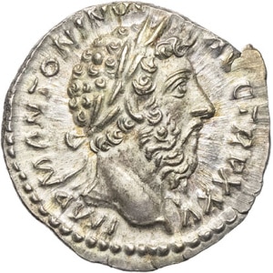 lot 263