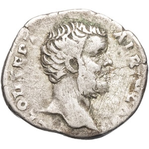 lot 272