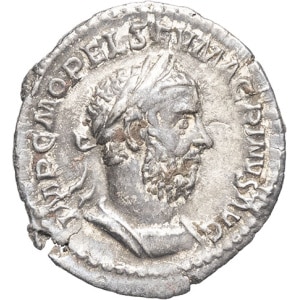 lot 291