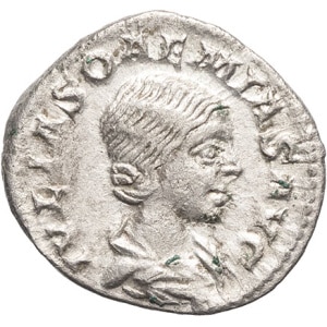 lot 295