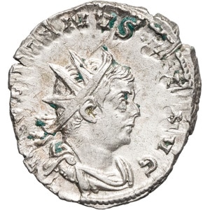 lot 335