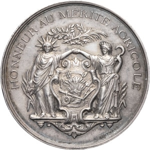 lot 480