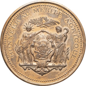 lot 481