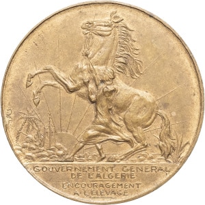 lot 501