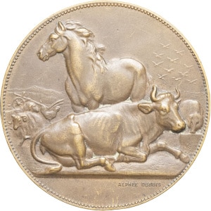 lot 503