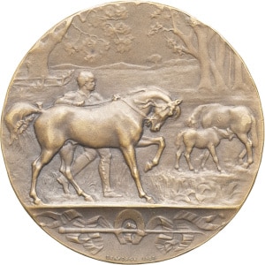 lot 505