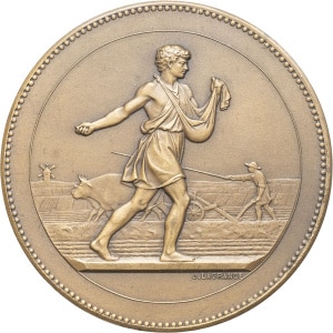 lot 545
