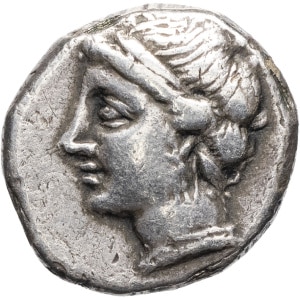 lot 6
