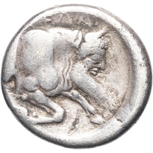 lot 11