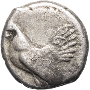 lot 12