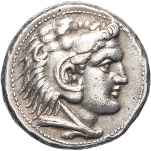 lot 19