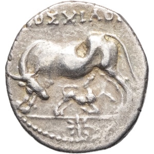 lot 30