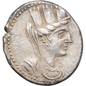 lot 51