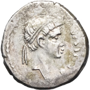 lot 53