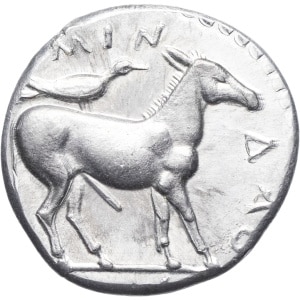 lot 64