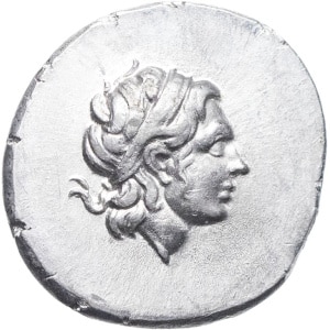 lot 65