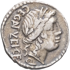 lot 203