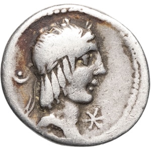 lot 204