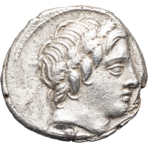 lot 205