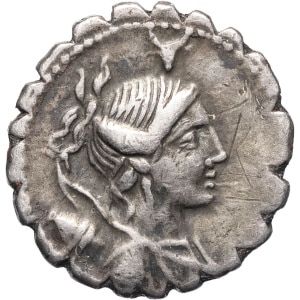 lot 206