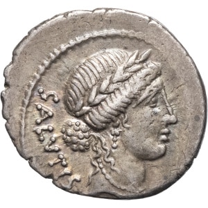 lot 213