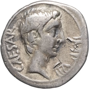 lot 221