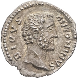 lot 236
