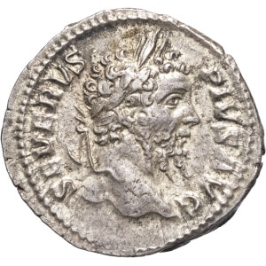 lot 245