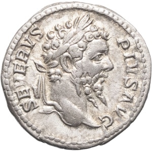 lot 246