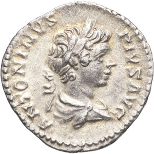lot 250