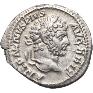 lot 253