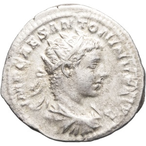 lot 254