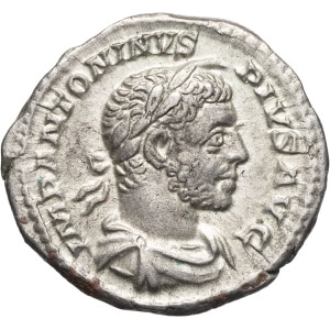 lot 255