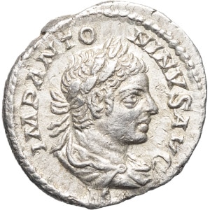 lot 256