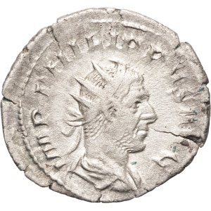 lot 264