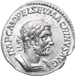 lot 293
