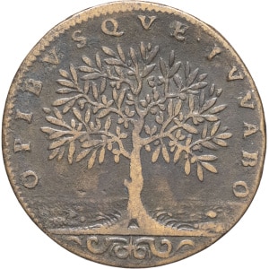 lot 678
