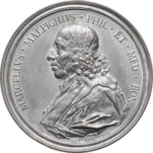 lot 1365