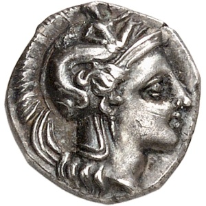 lot 6